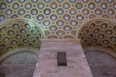 DSCF0246