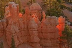Light_Through_the_Hoodoos_-_Bryce_sp