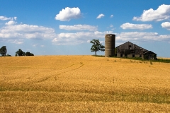 Southern_Ontario_Farm_Scene_sp