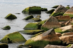 Wards_Island_Rocks_-_Toronto
