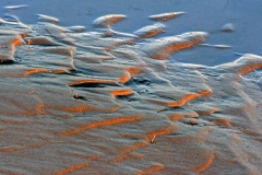 c19-Beach_at_Sunrise