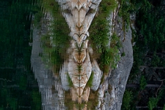 c21-Killarney_Rock_Reflections_-_Vertical_View