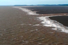 c61-Mud_Flats_-_Bay_of_Fundy