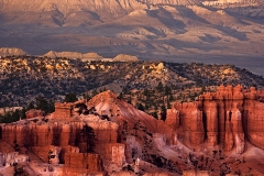 c80-The_Varying_Landforms_of_Bryce