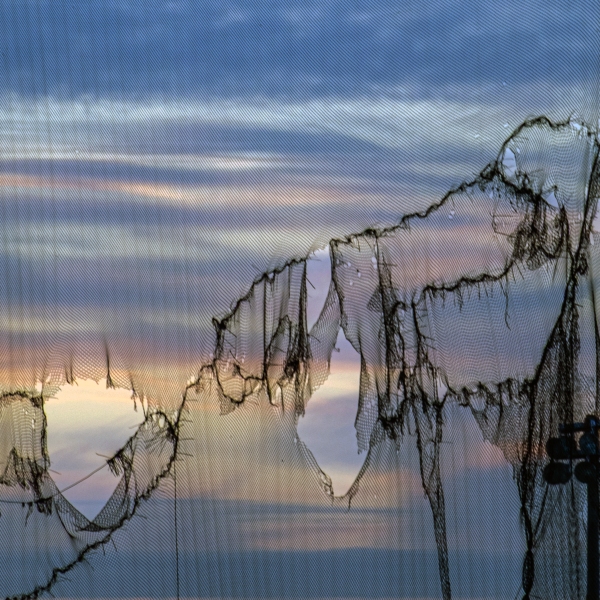 1_Sunset-through-the-gauze