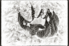 BW-leaf-4ainverted2